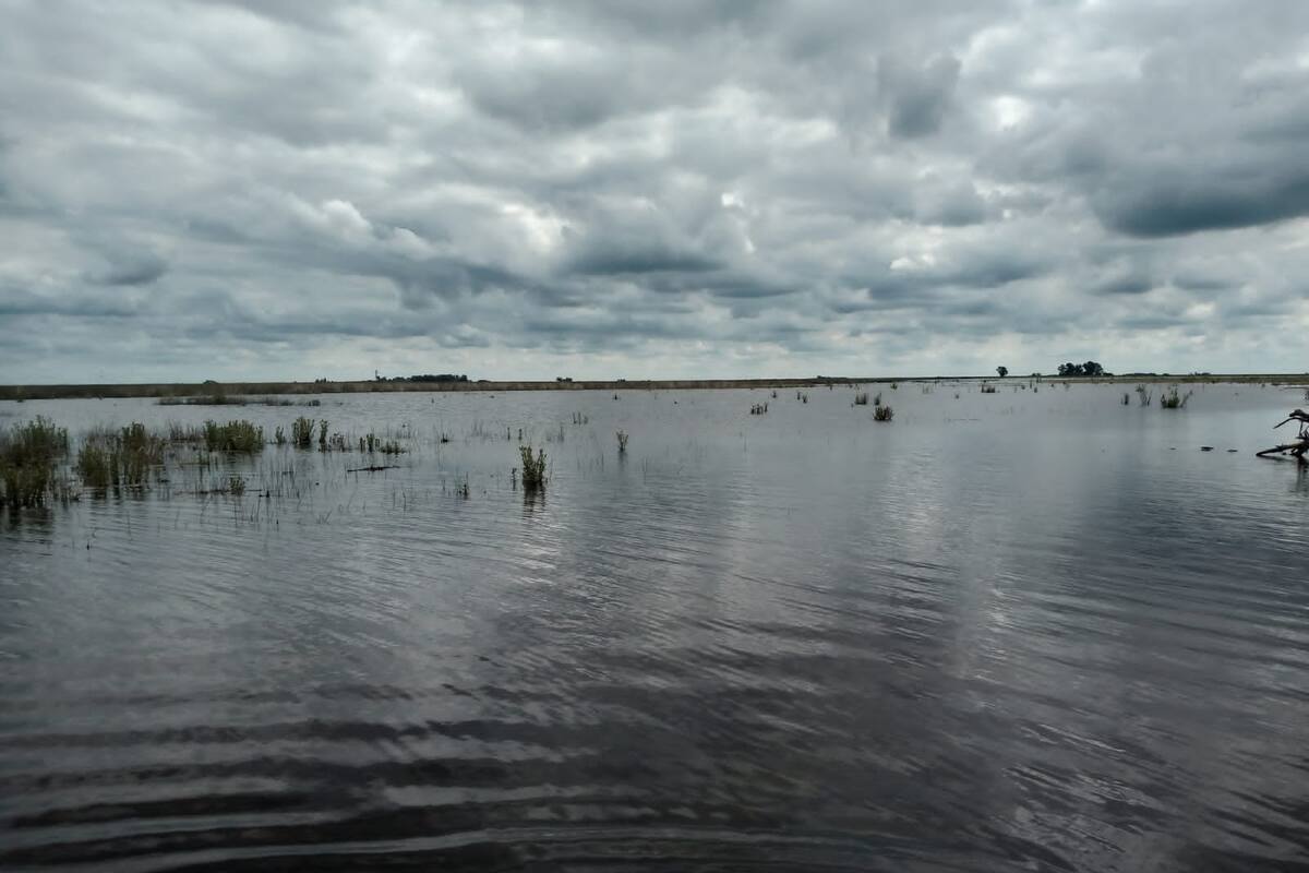 Miles de hectáreas quedaron anegadas en el partido de General Villegas