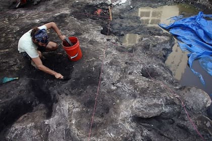 Miles de objetos indigenas han sido encontrados en la zona de Brickell, en el centro de Miami.