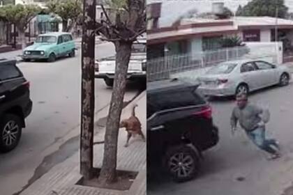 Miles de personas reaccionaron en la publicación que se volvió viral