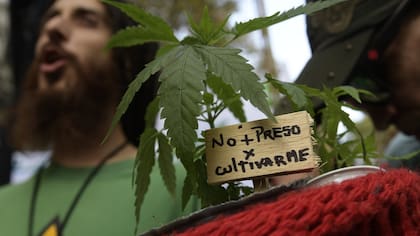 Miles de personas se convocaron en distintos puntos del mundo por el día de la marcha del Día Mundial de la Marihuana