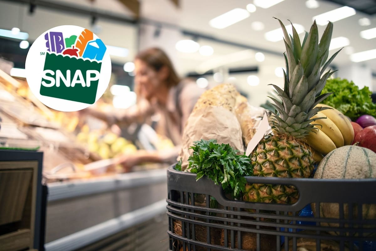 Miles de refugiados y asilados pierden el acceso a los cupones de alimentos este 1 de abril en estados como Illinois (Freepik/Snap)