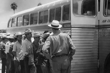 Miles de trabajadores indocumentados mexicanos fueron detenidos y deportados durante la Operación Espalda Mojada.