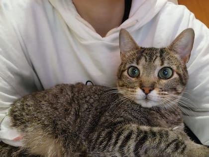 Mileva hoy tiene dos años.