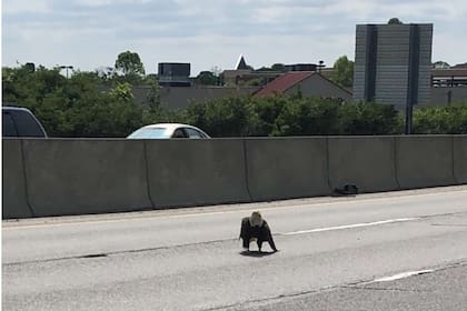 Miller se sorprendió cuando descubrió a un águila calva en el medio de la carretera.