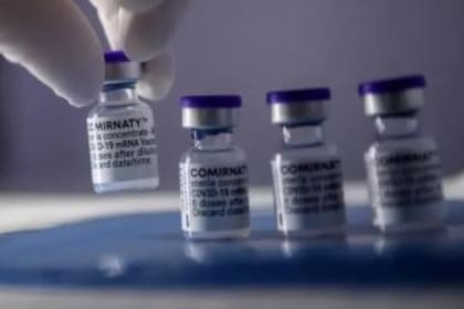 Millones de dosis de vacunas de ARNm contra el covid han sido administradas alrededor del mundo