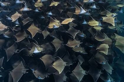 Millones de edificios del Sur Global en riesgo por la subida del mar