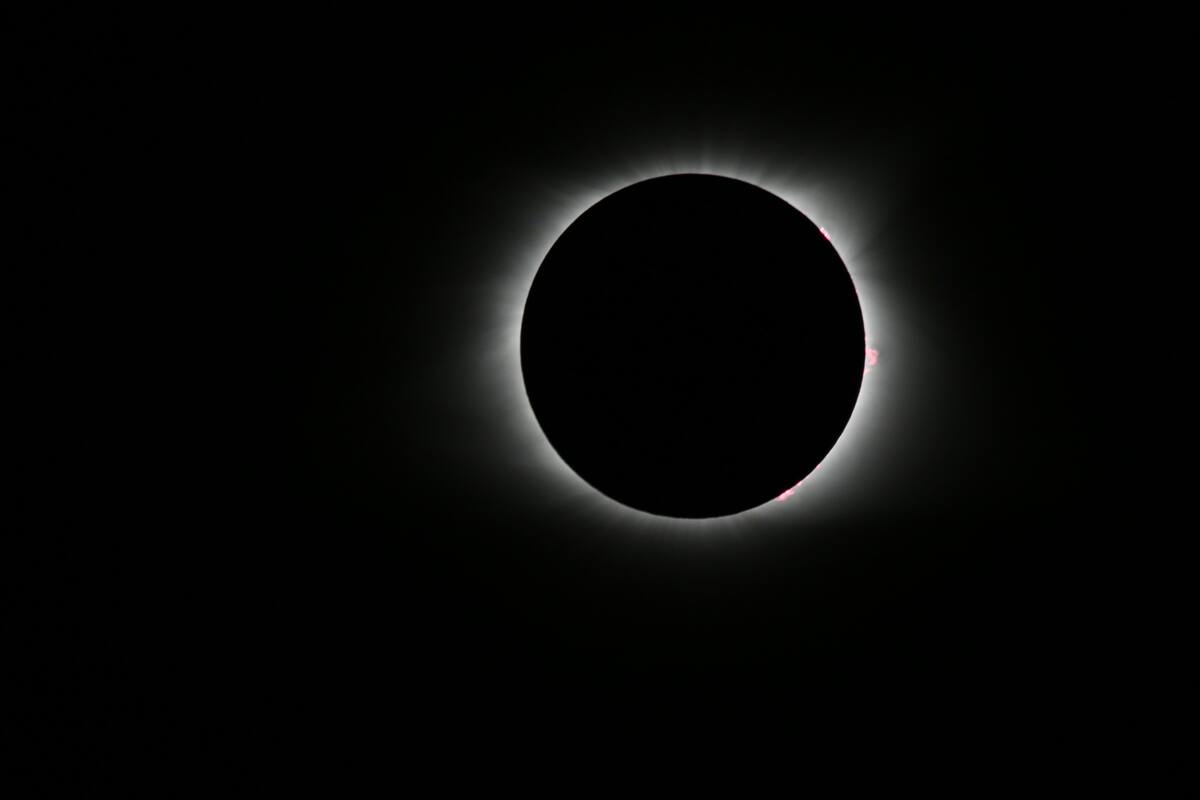 Millones de personas en todo Estados Unidos vivieron en primera persona el eclipse solar total del 8 de abril de 2024