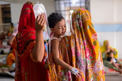 Millones de personas son afectadas por dengue y otras enfermedades transmitidas por el Aedes aegypti alrededor del mundo cada año, una situación que parece empeorar gracias al cambio climático (AP Foto/Mahmud Hossain Opu)