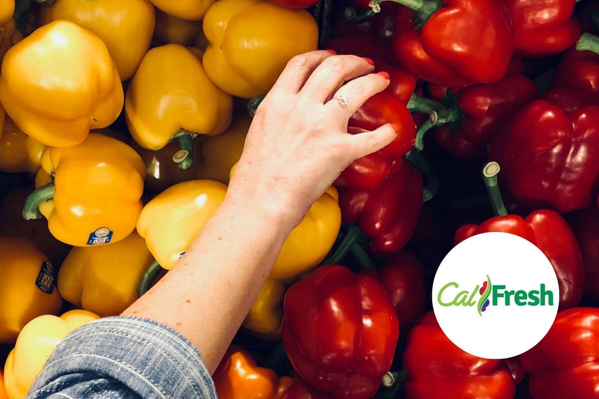 Millones de residentes en California utilizan el programa de asistencia para comprar comida (Unsplash/sydney Rae)