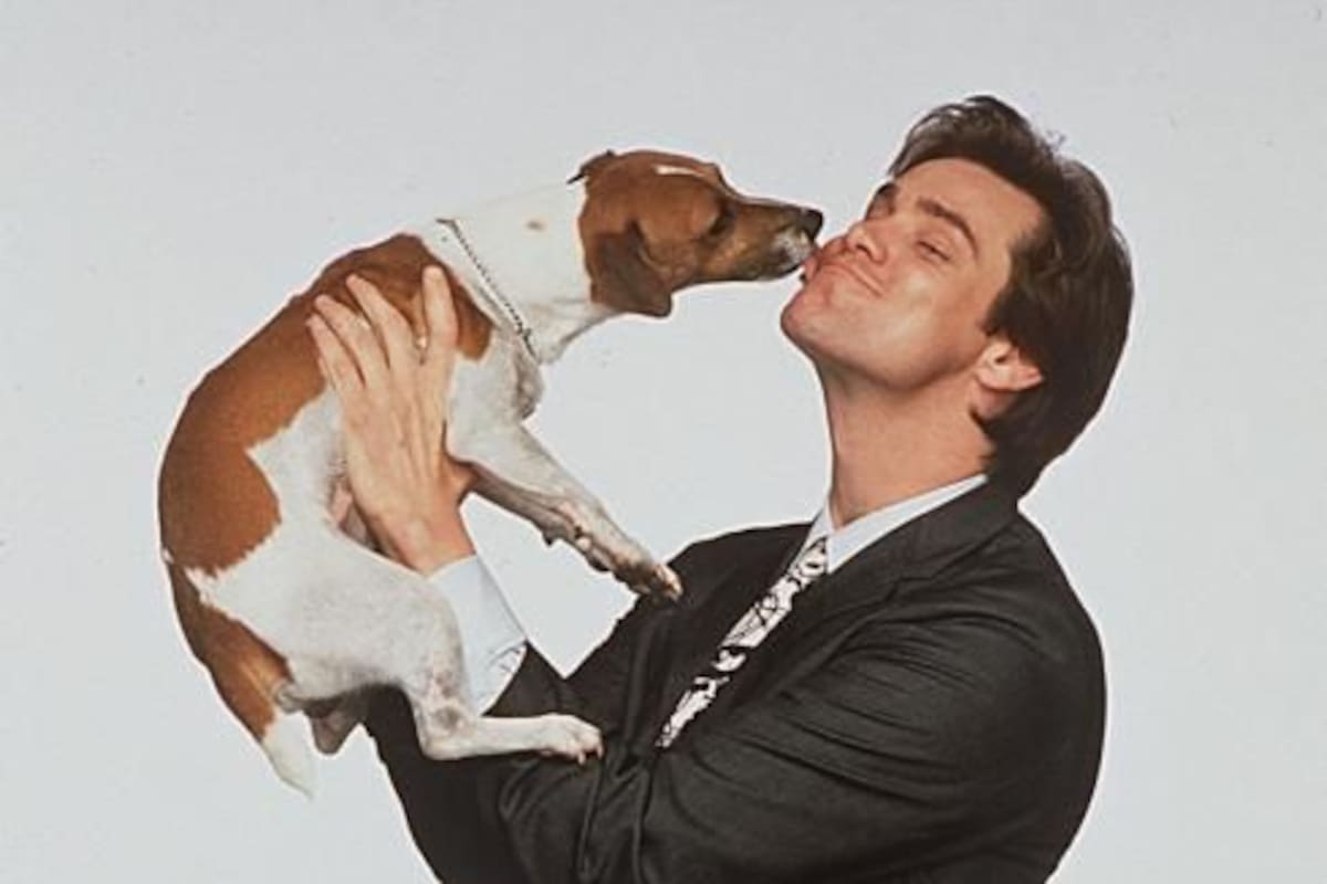 Milo, tal como se llama el perro en la película, tiene una serie de grandes escenas cuando se coloca la máscara en el rostro