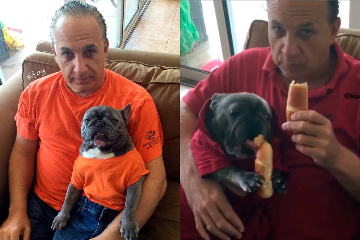 Mimetizados, este bulldog francés y su dueño hacen todo juntos