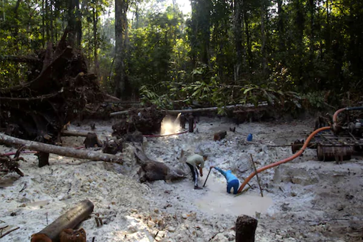 Mineros buscan oro en la zona Itaituba