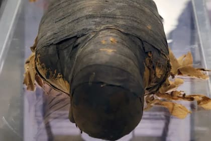 Minirdis, la momia hallada en Egipto.