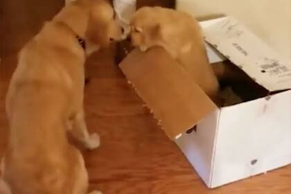 Minnie recibió a Parker para que la ayude a ser más confiada