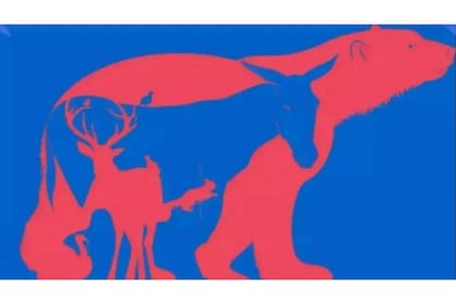 Mirá la imagen e intentá descubrir los ocho animales escondidos