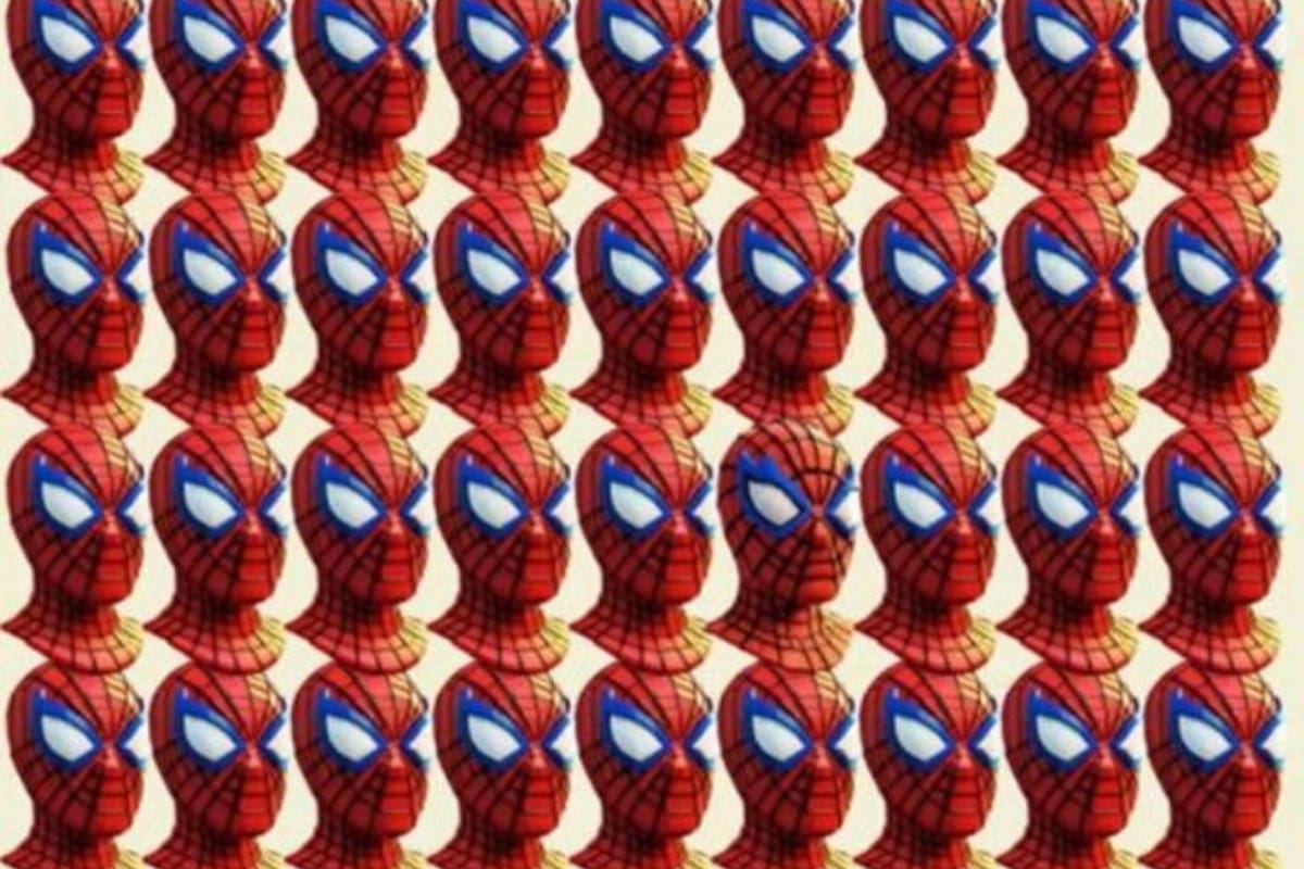 Mirá la imagen y descubrí la diferencia en tan solo 20 segundos