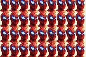 Mirá la imagen y descubrí la diferencia en tan solo 20 segundos
