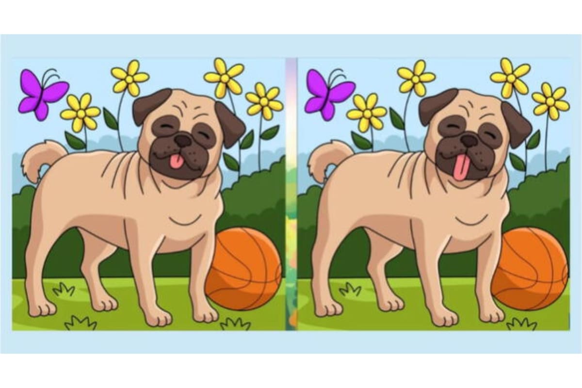 Mirá la imagen y encontrá en seis segundos las tres diferencias que se esconden