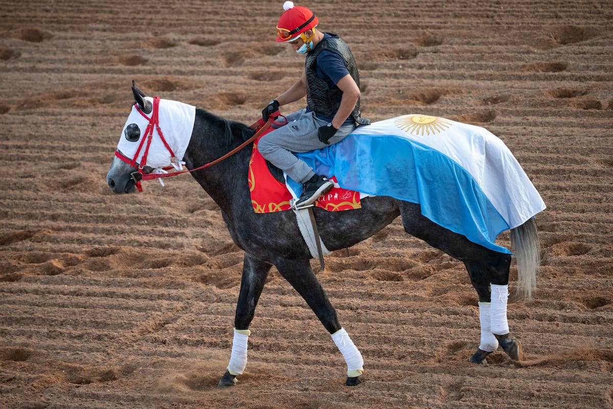 Miriñaque competirá en la Saudi Cup