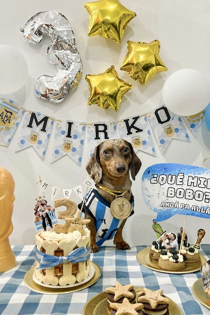 Mirko es un salchicha mini de 3 años. Sus dueños organizaron un gran festejo para su último cumpleaños