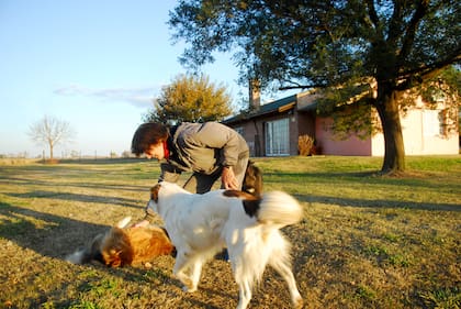 Mirta Massanova vive ahora rodeada de perros, vacas y gallinas.