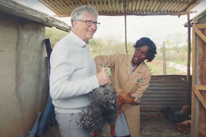 "Mis habilidades agrícolas, como sostener una gallina y balancear una azada, necesitan algo de trabajo", confesó el empresario estadounidense