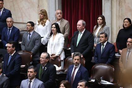 Misioneros, salteños y tucumanos, los referentes de los gobernadores que apoyan los proyectos económicos de Milei, pero también las iniciativas para contener problemas sociales