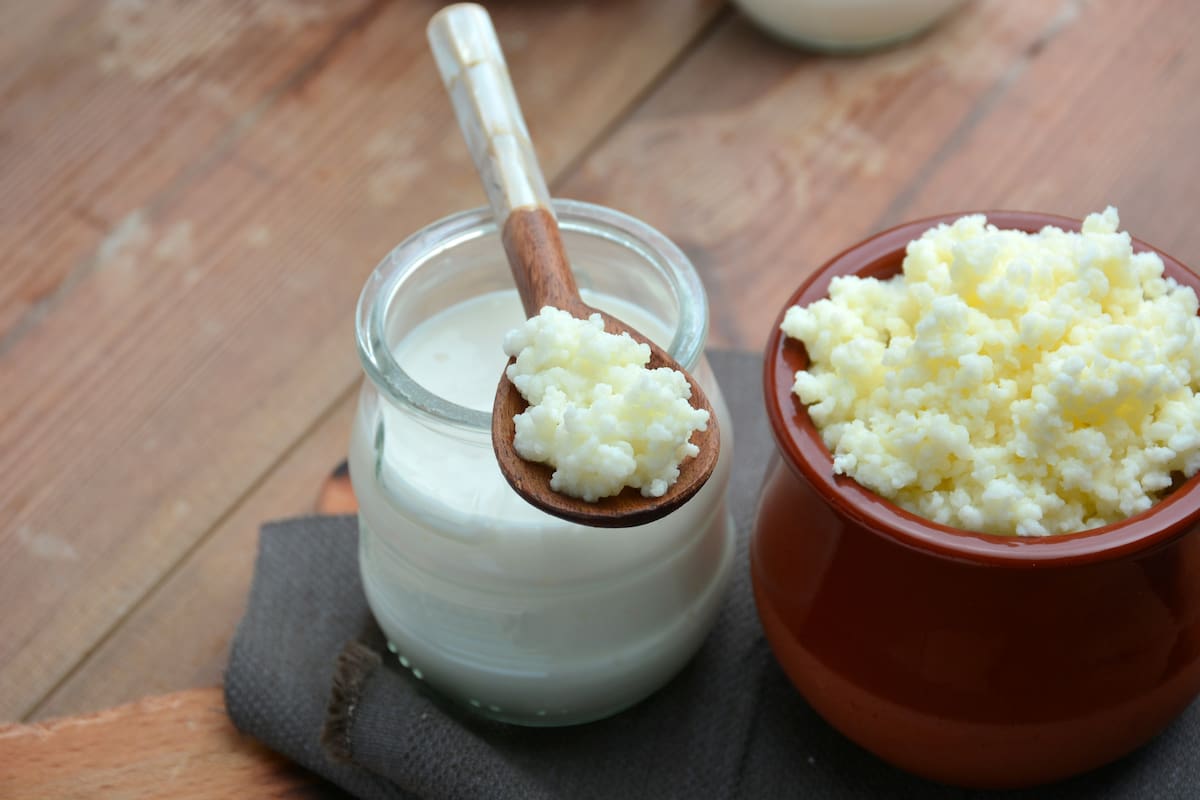 Miso, kéfir, kombucha, las nuevas palabras entre los cultores de la alimentacón natural.