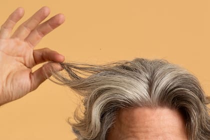 Mito o realidad: un dermatólogo aclaró qué ocurre cuando te sacás una cana