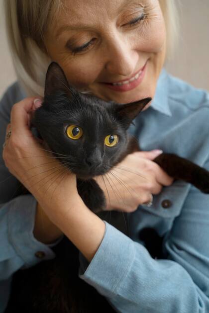 Mitos y realidades: la verdad sobre gatos negros y cómo se construyó la superstición