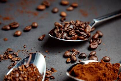 Mitos y verdades sobre esta infusión y cuáles son las recomendaciones