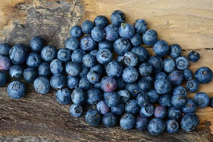 Mitos y verdades sobre los arándanos, los pequeños frutos que son estrellas en estas semanas