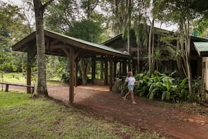 El hotel de selva que crearon dos aventureros a partir de un refugio