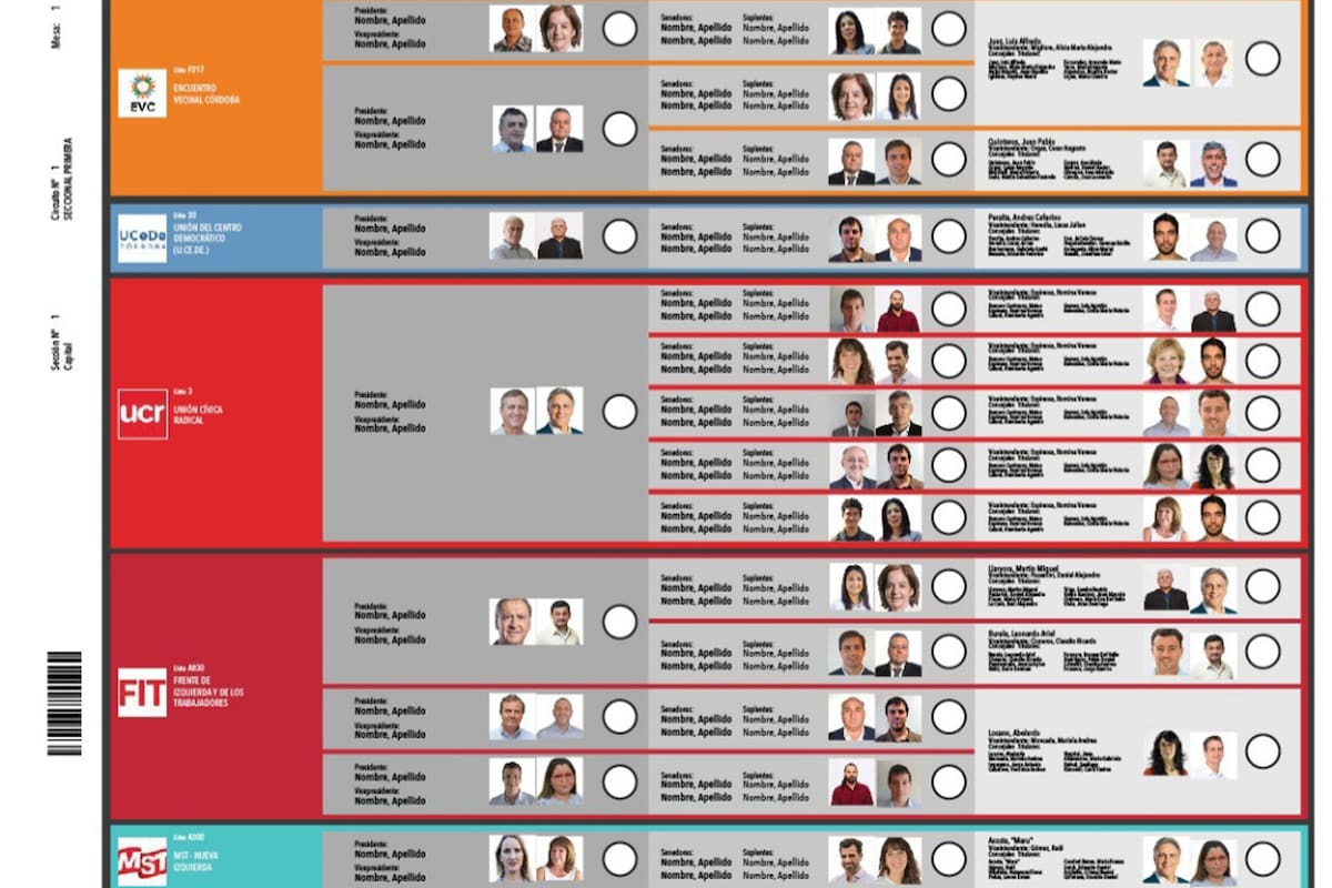 Modelo de Boleta Única