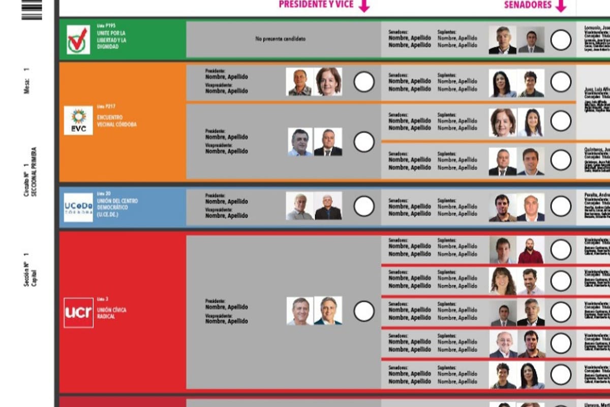 Modelo de Boleta Única