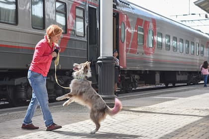 Modelo para armar: como el transiberiano es la red de vías y ramales que hacen el gran recorrido, los viajeros elige los trenes según las paradas que quieran hacer y su presupuesto