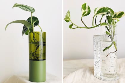 Modelos de hidroterrarios con tubos de ensayo y botellas de vino recicladas en diferentes colores, de Atelier Botánico. La marca también tiene propuestas colgantes y de apoyo con tapas de madera o terrazo. Los precios varían entre los $ 1500 y $ 2500. www.atelierbotanico.com.ar