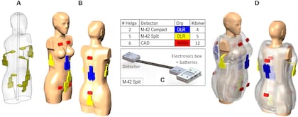 Modelos de los maniquíes y la ubicación de los detectores utilizados en el experimento MARE