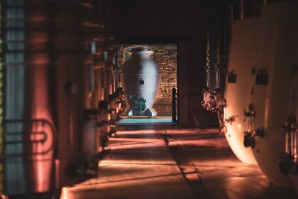 Modernas ánforas para la crianza del vino en la cava subterránea de la antigua bodega Los Cerros de San Juan