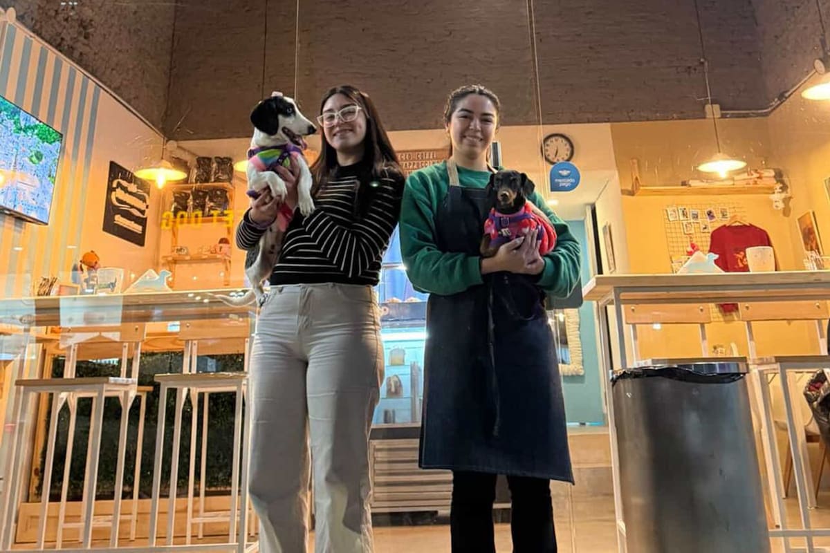 Moli Coffee es la primera cafetería de la Argentina inspirada en perros salchichas, ubicada en San Miguel, Buenos Aires