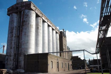 El sector de agronegocios leyó y releyó el decreto de Vicentin. De allí se desprendería que las coordenadas a partir de las cuales se avanzó sobre la cerealera no se aplicaría a Molino Cañuelas, si bien tienen en común la dificultad financiera.