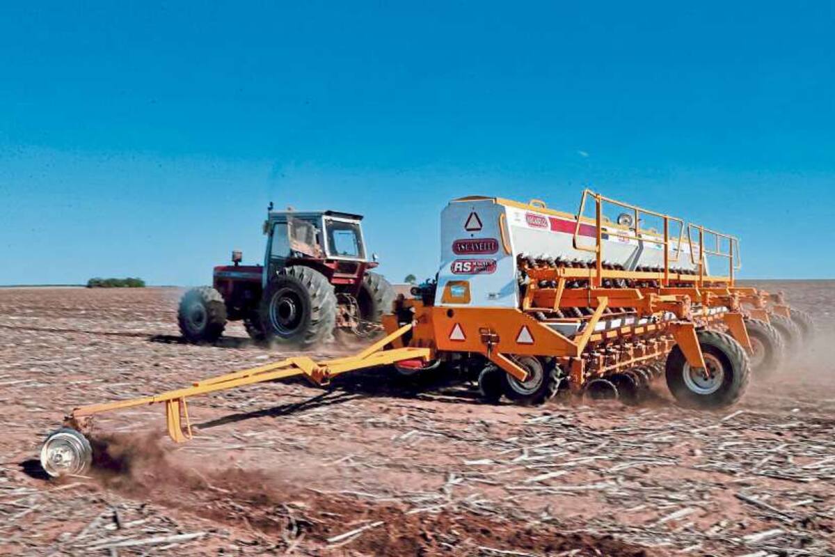 Momento crítico para los cultivos