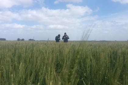 Momento de tomar decisiones