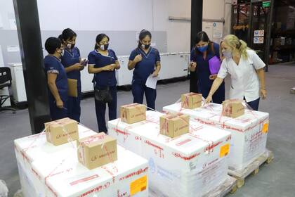 Momento en que arriban las vacunas Sputnik V a Salta