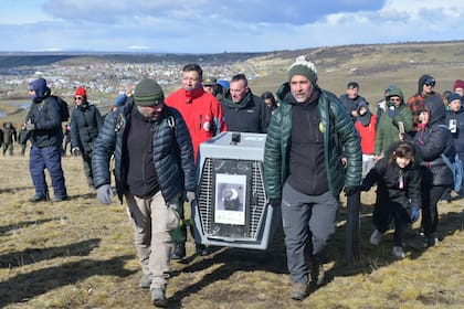 Momentos en que portan el canil con el condor hasta la cima del Mirador de Condores, de fondo la localidad de 28 de Noviembre, Santa Cruz.