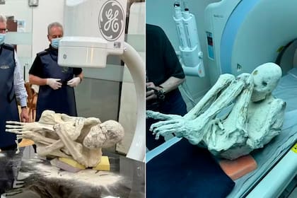 "Momias extraterrestres" descubiertas en Perú se someten a pruebas por un valor de 300 millones de dólares para "probar su autenticidad"