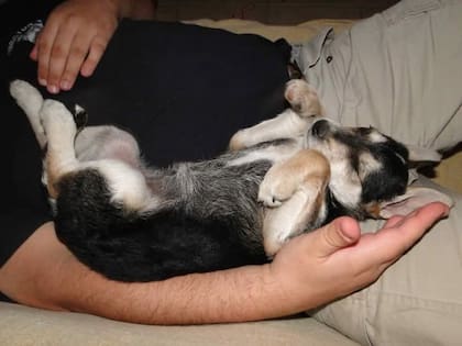 Mona se convirtió en la compañera inseparable de Damián.