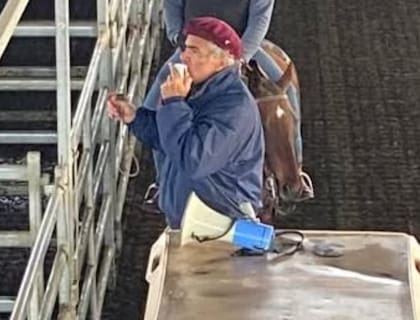 Monasterio advirtió que la falta de novillos pesa más que las medidas coyunturales y dijo que desde hace tiempo la industria viene trabajando con valores más altos de lo que puede pagar porque no hay hacienda
