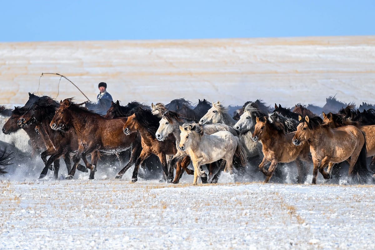 Mongolia Interior, China. Edición fotográfica de Jesica Rizzo