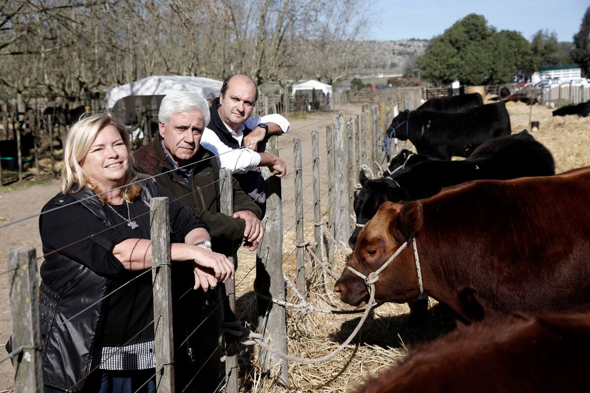 Mónica Schmale de Luchessi, Ricardo Orazi y Patricio Carli